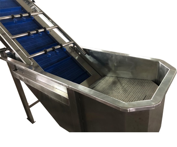 Conveyor Belts For Green Vegetable Processing manufacturer and supplier in gujarat ,india