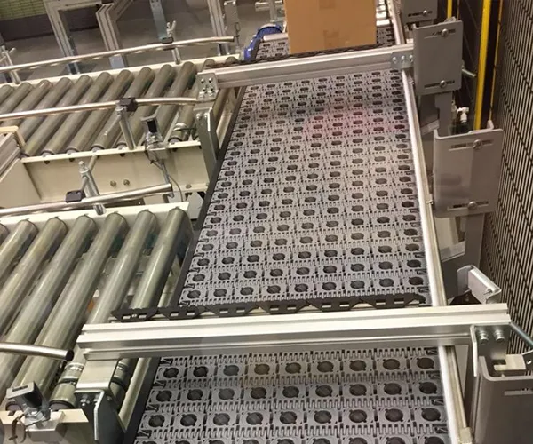 Carton Merge Sorting System